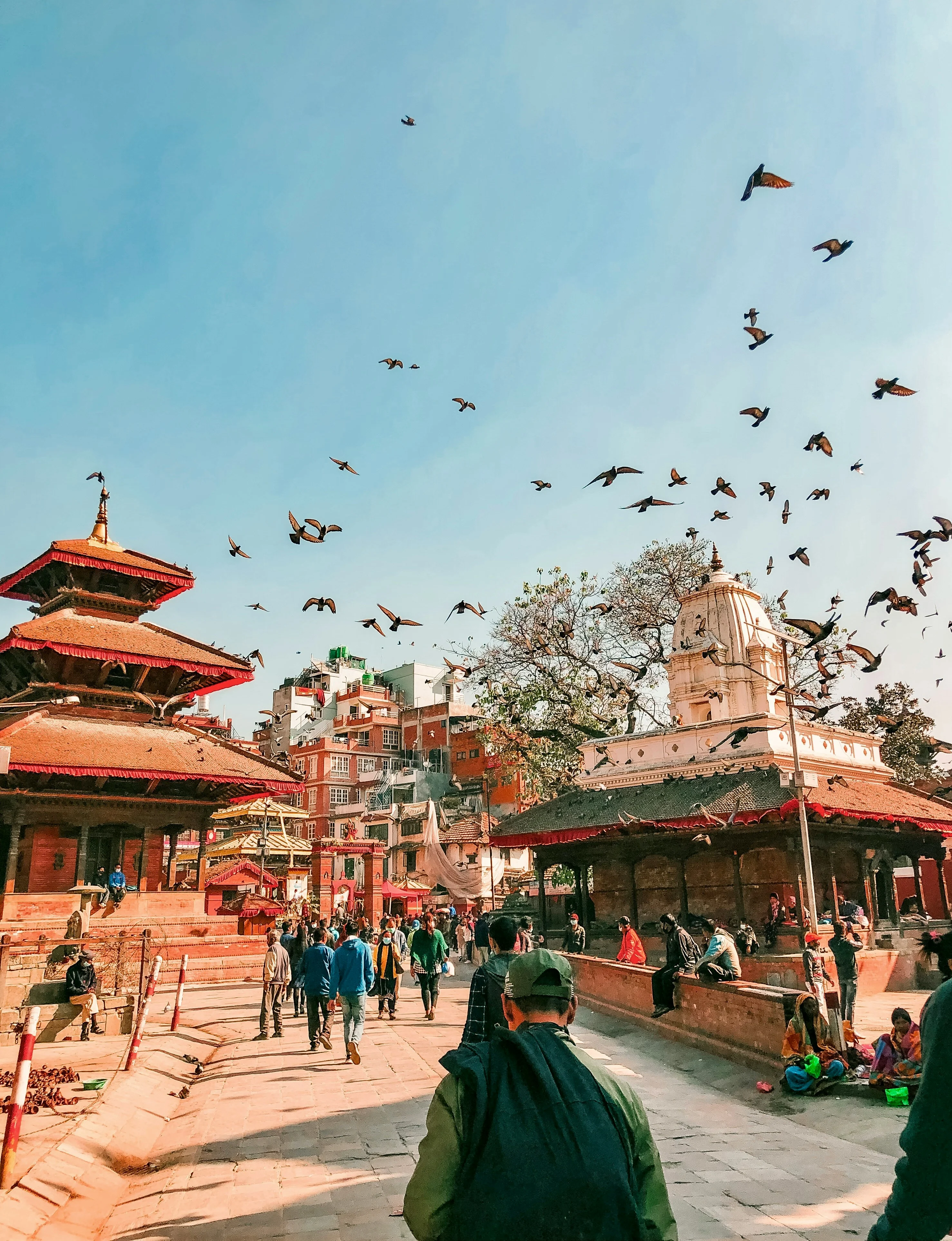 Best Nepal Tour Package with Exclusive Deals With Travelochat