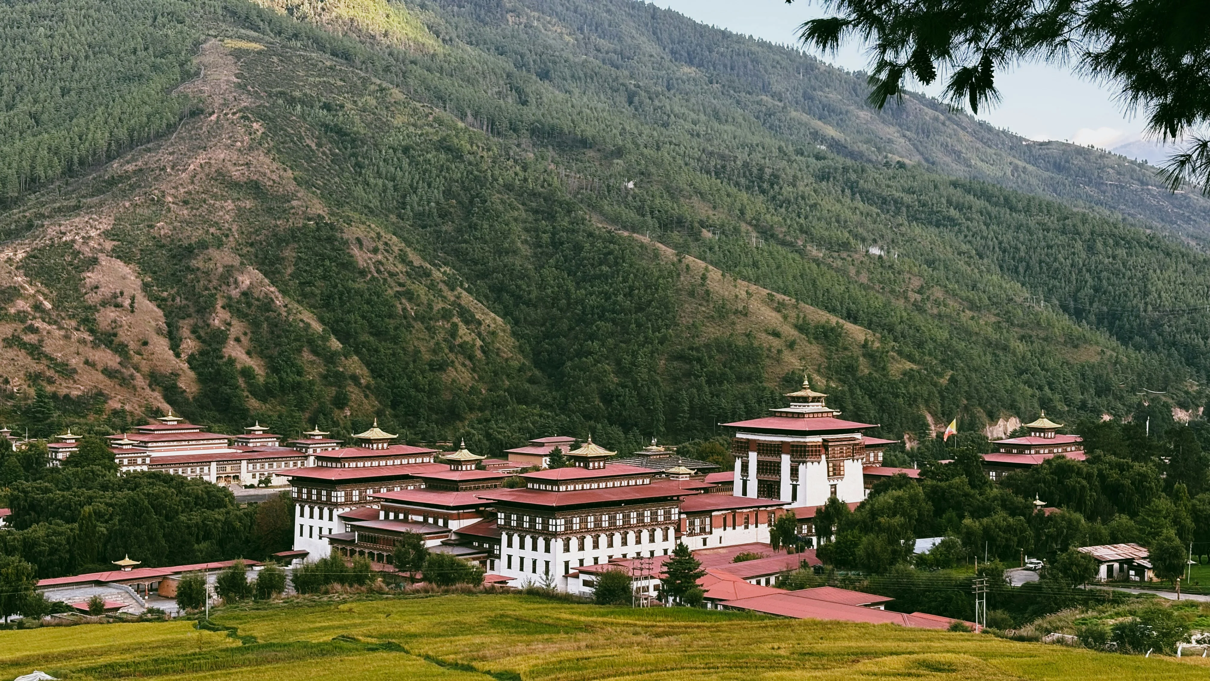 Book Bhutan Travel Packages at Affordable Price