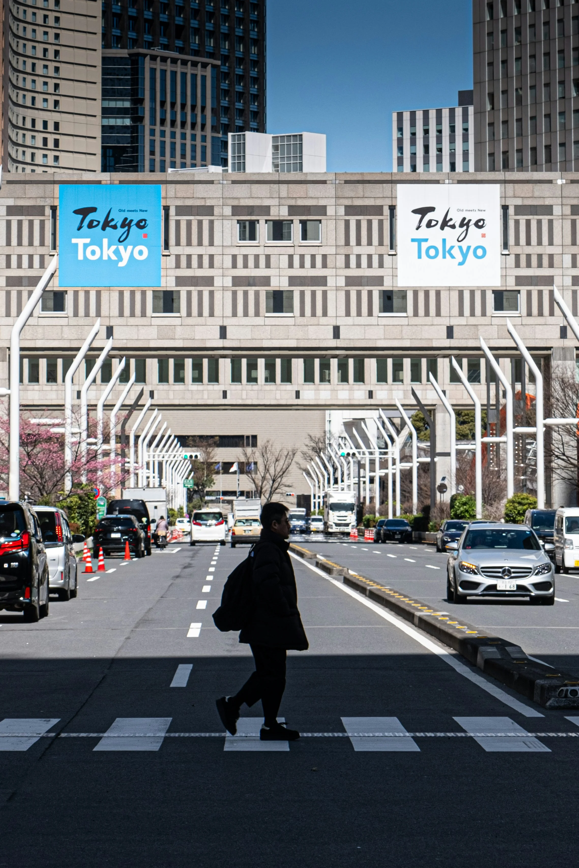10-Day Japan Tour Itinerary from Tokyo to Osaka