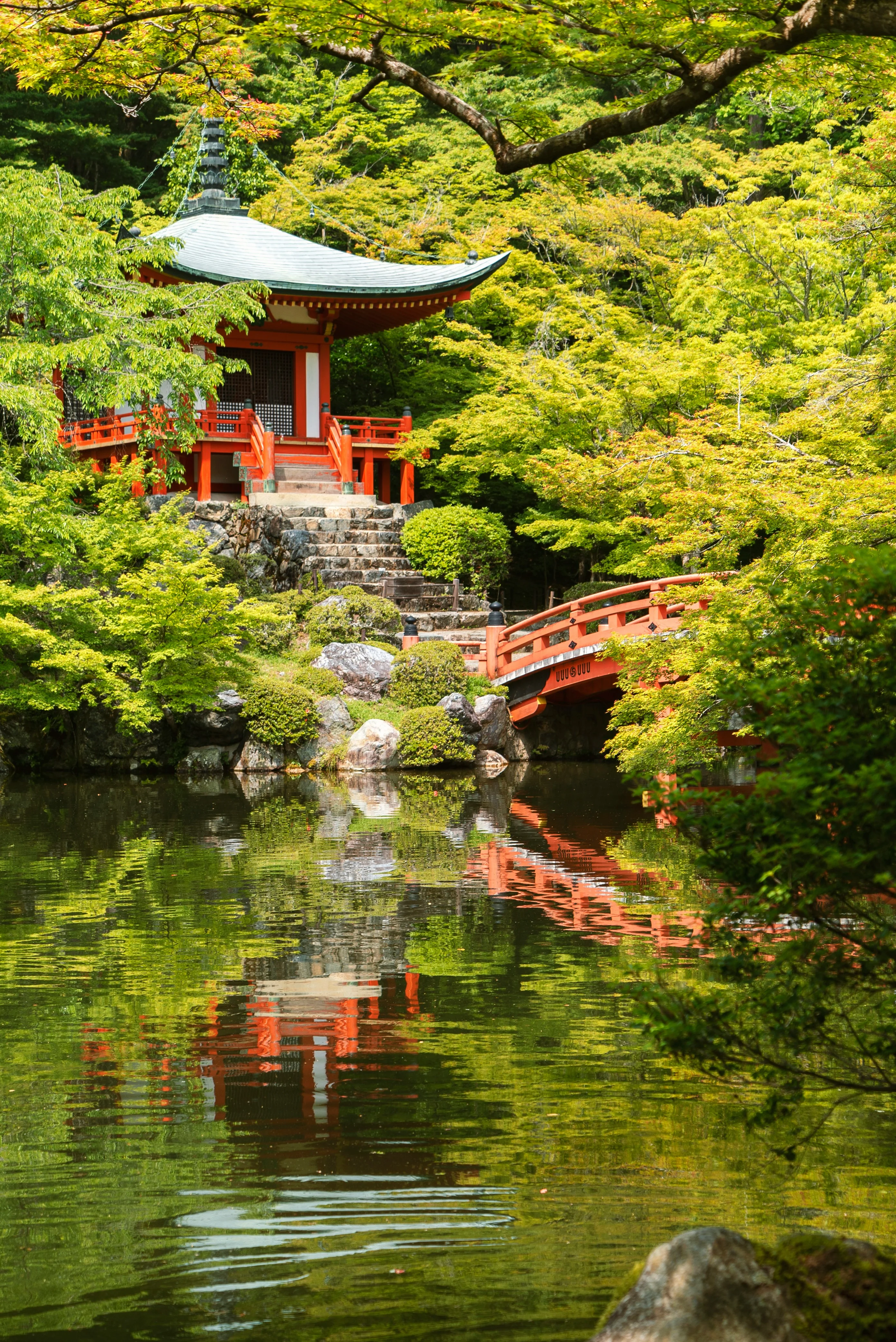 Best Japan Travel Packages in India | Book with TravelOChat