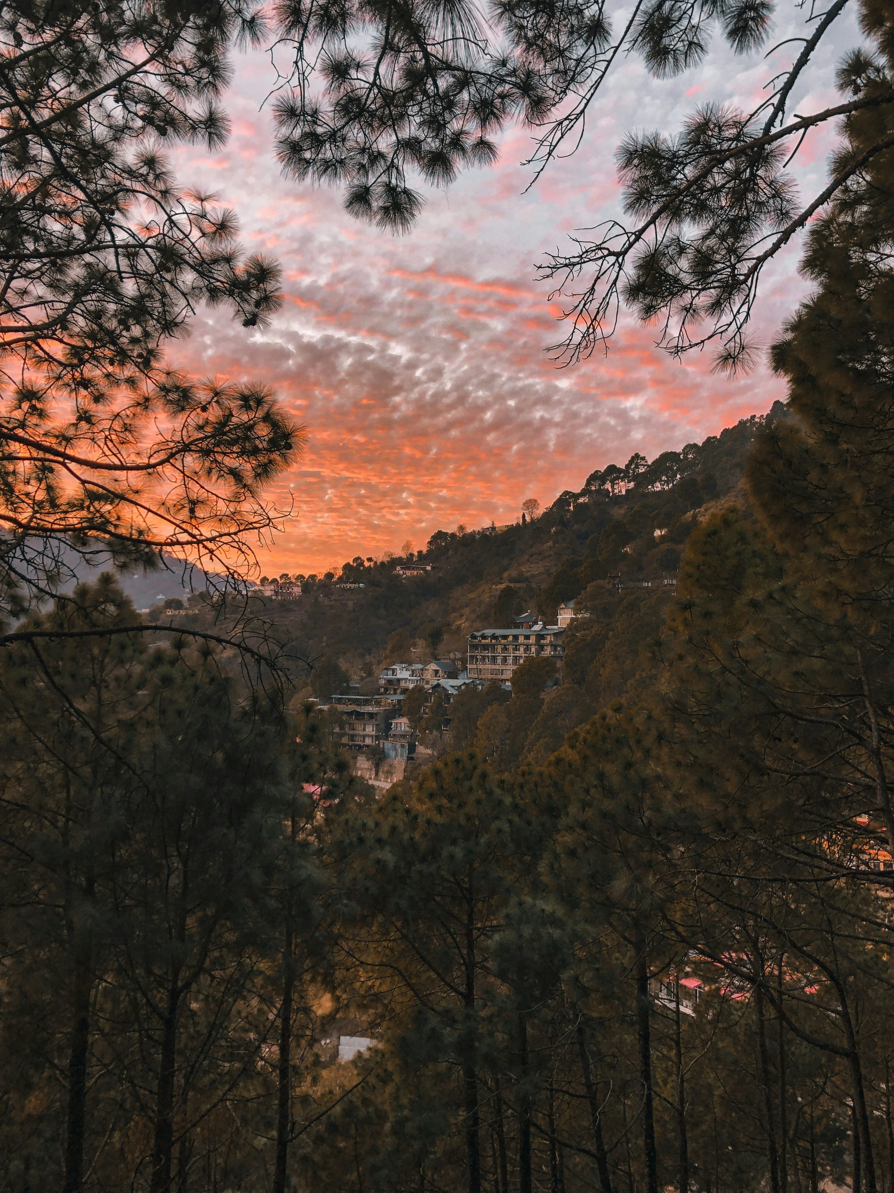 Shimla Kasauli Tour Package 5 Nights 6 Days | Himachal Tour | TraveloChat