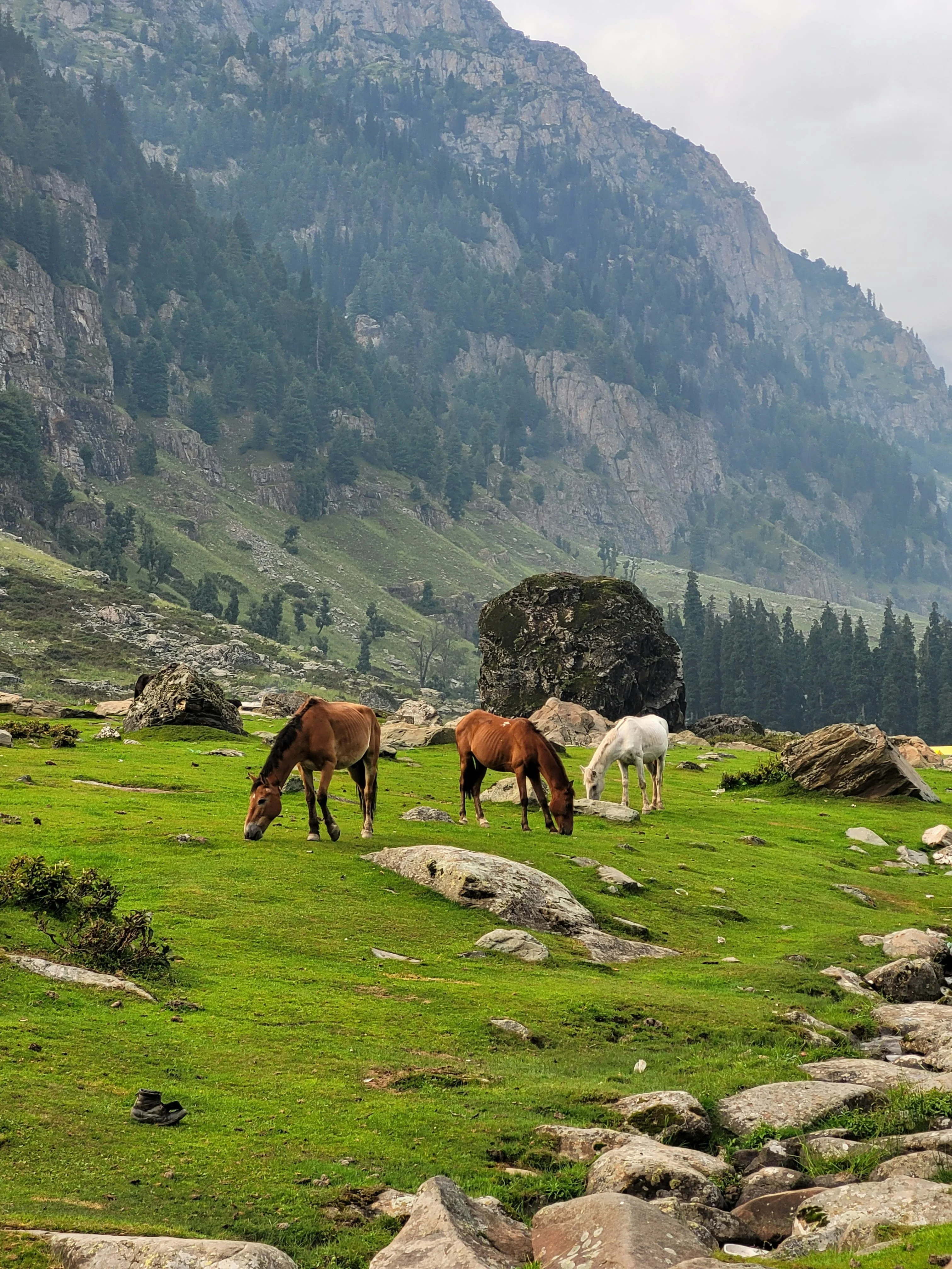 Srinagar Gulmarg Pahalgam Sonmarg Tour Package 6 Nights 7 Days | Kashmir Trip | TraveloChat