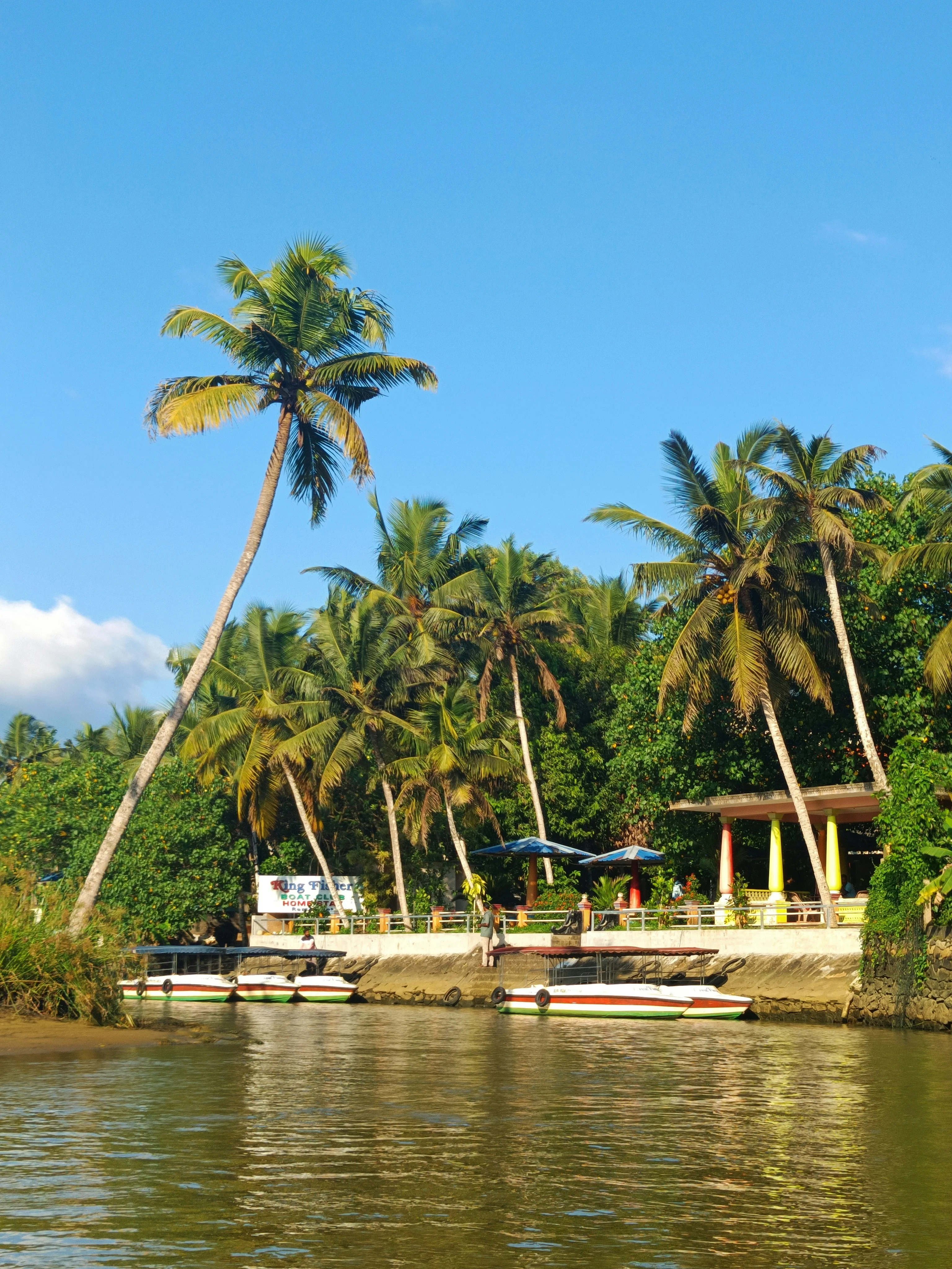 Kerala Honeymoon Tour Package 5 Nights 6 Days | Romantic Munnar Alleppey Package | TraveloChat