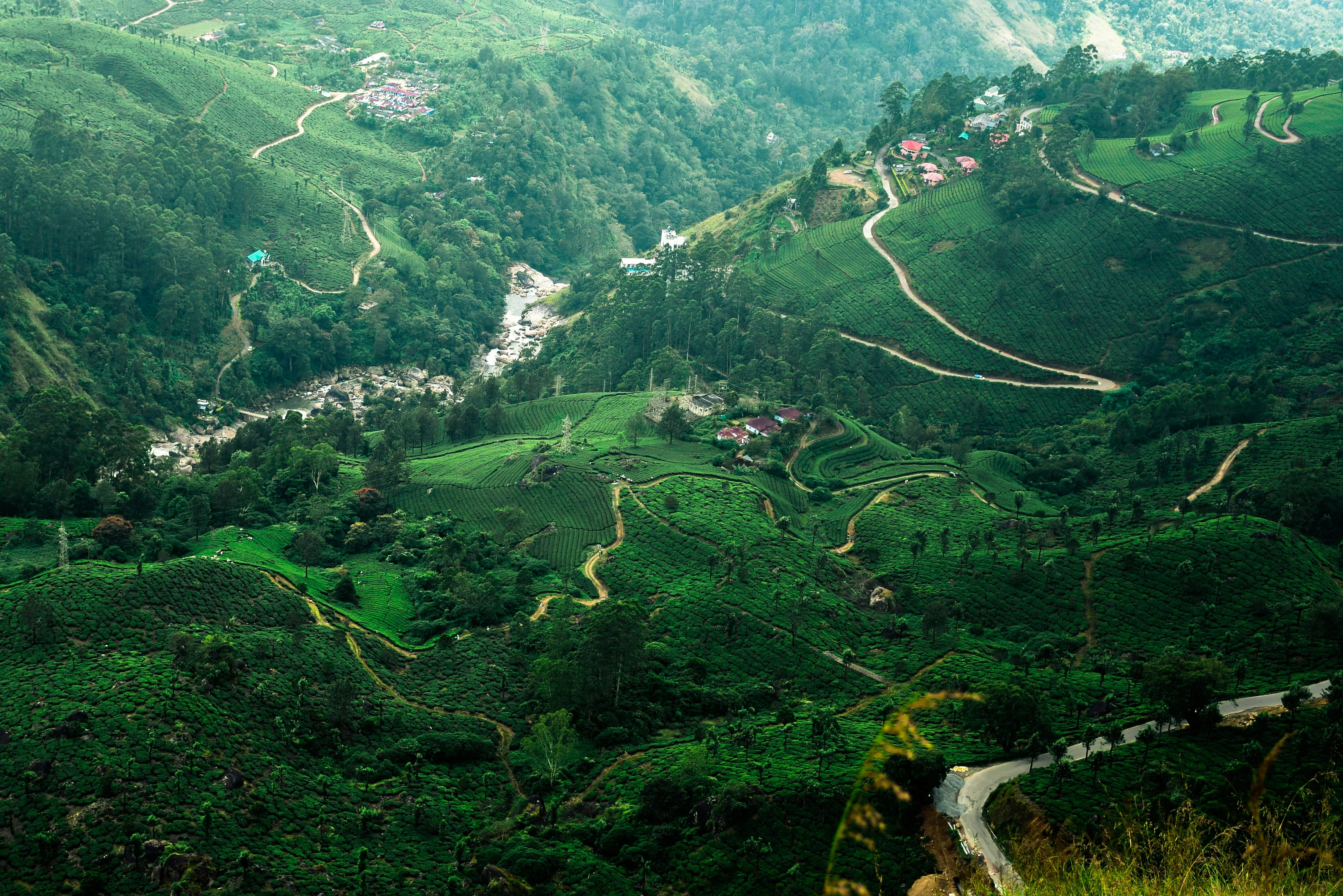 Kerala Tour Package 5 Nights 6 Days | Munnar Thekkady Alleppey Tour | TraveloChat