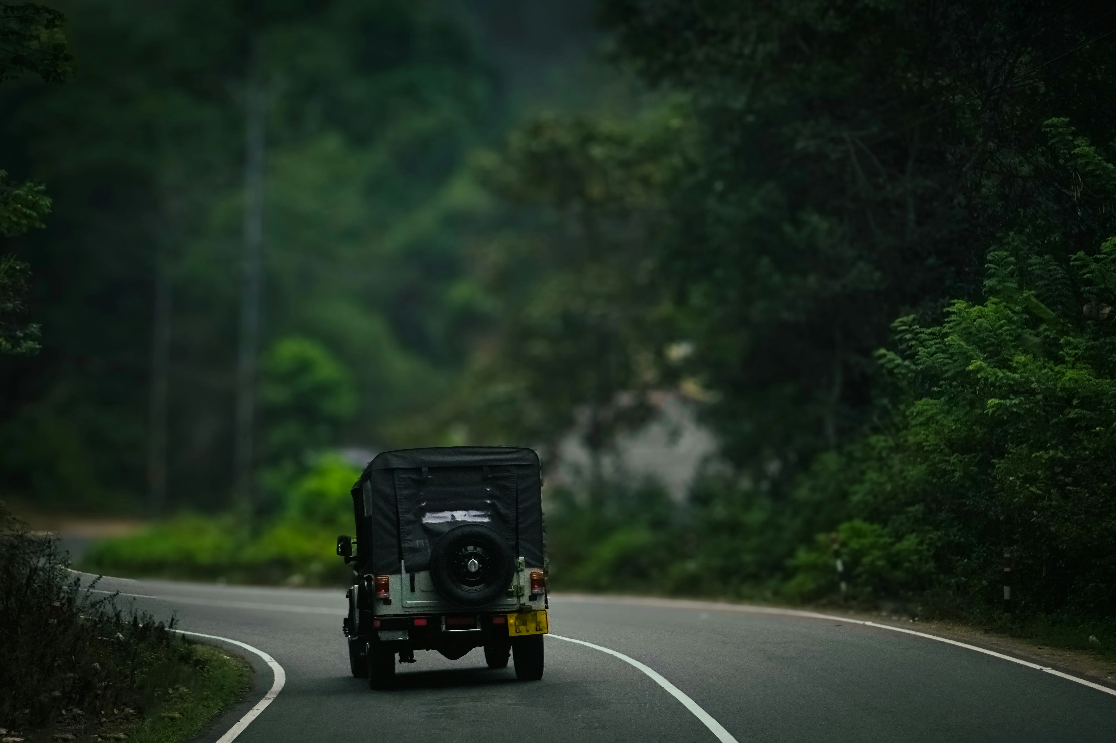 Munnar Thekkady Alleppey Tour Package 4 Nights 5 Days | Kerala Houseboat Tour | TraveloChat