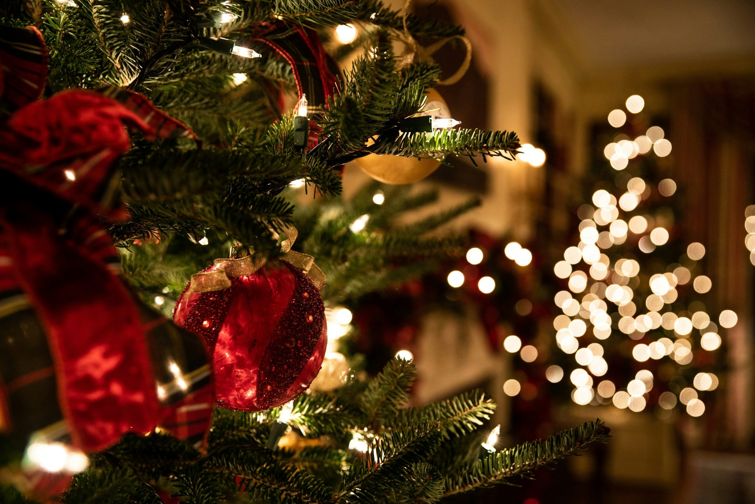 Christmas travel experiences Winter holiday destinations India Festive travel packages Christmas vacation ideas Travel during Christmas in India TraveloChat festive tours