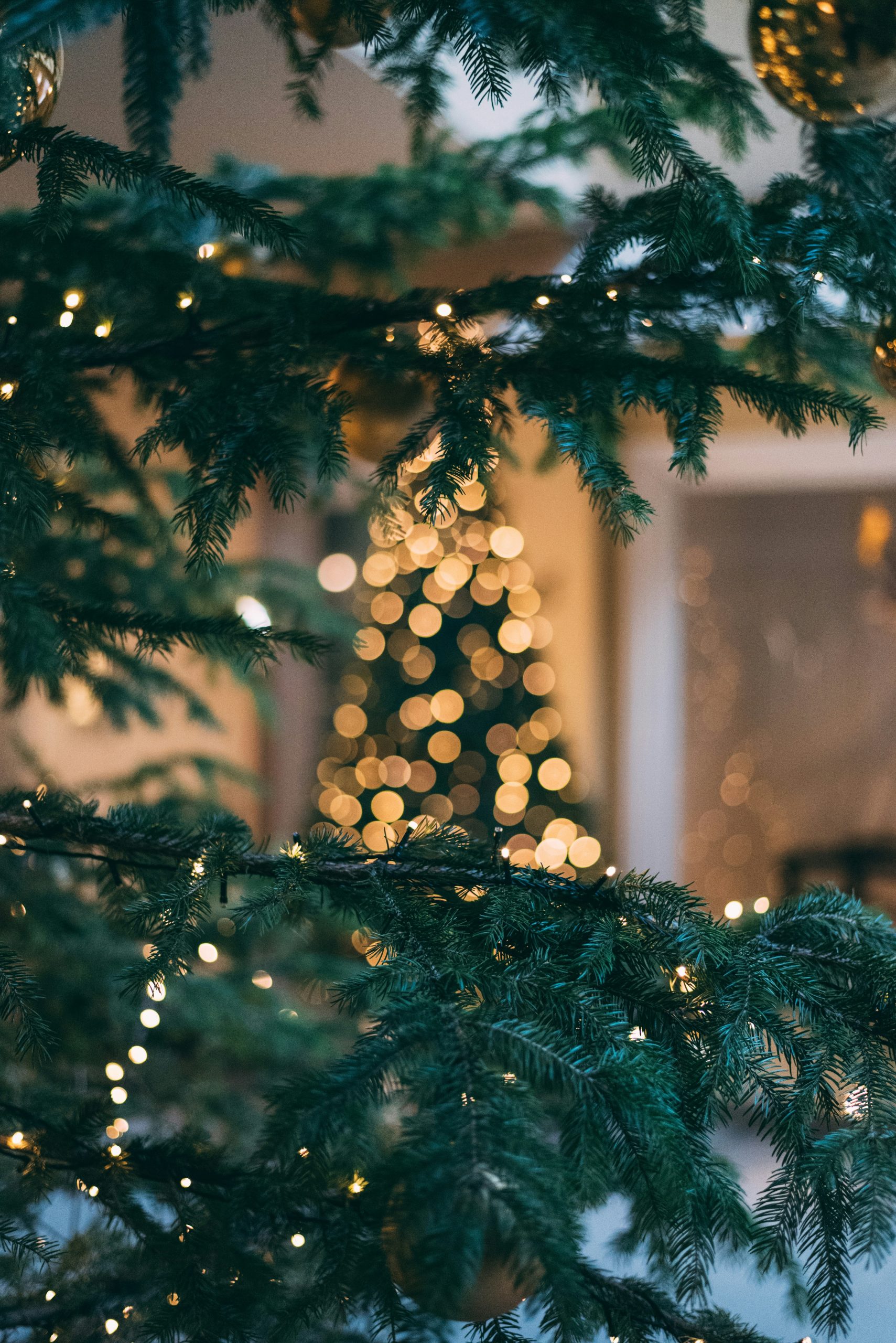 Christmas trip in Manali Christmas vacation ideas TraveloChat Christmas tours