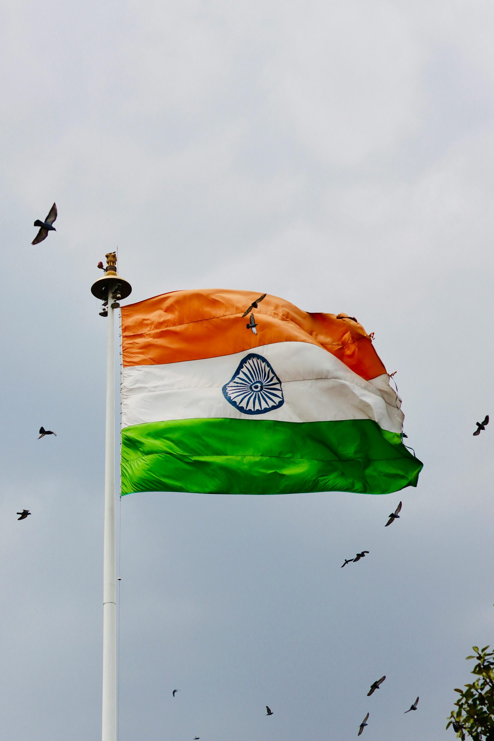 Republic Day travel blog, Republic Day tour packages, 26 January travel ideas, TraveloChat Republic Day blog, Best places to visit on Republic Day, India patriotic travel, January travel India, Republic Day holiday trips, Indian heritage travel, TraveloChat travel